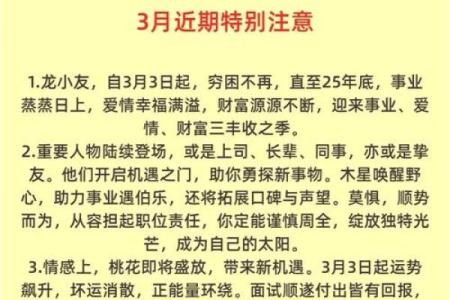 2012年龙年出生者：命理解析与人生指引之旅