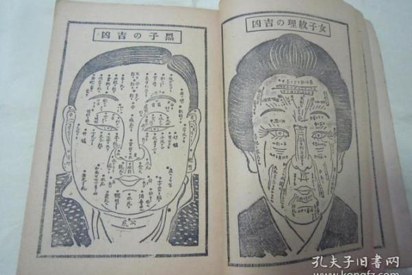 1976年出生的马人命运：探索命理与生活的奇妙联系