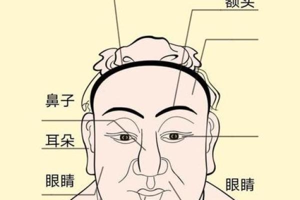面相解读：如何从五官看出你的贵妇命潜质