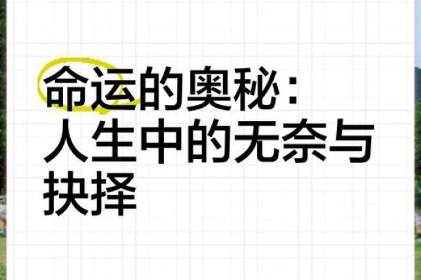 命儿：生活中的命运与选择的深层意义探讨