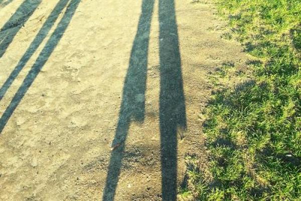 探秘1988的命运之谜：一场关于生命、经历与成长的旅程