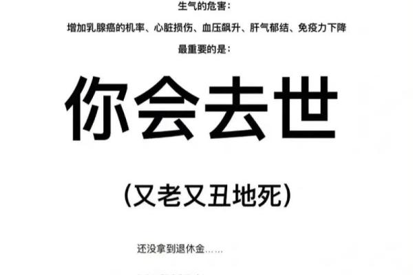 探秘1988的命运之谜：一场关于生命、经历与成长的旅程