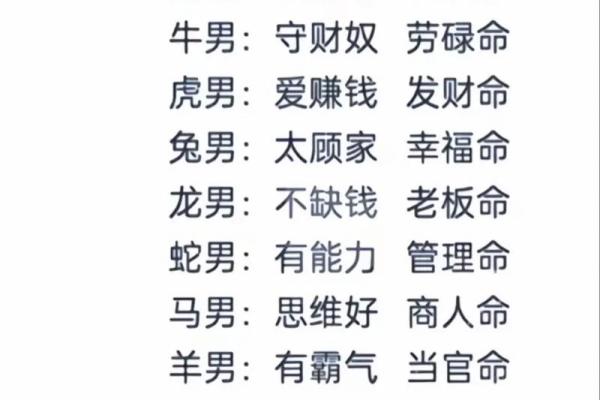 一九九二三年的属相命运解析：开启幸运的新篇章