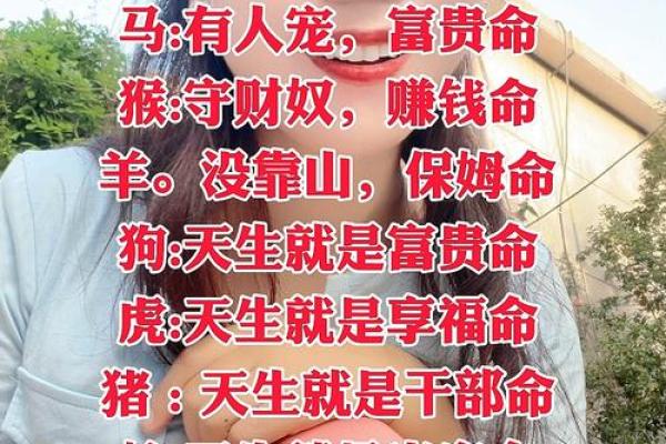 一九九二三年的属相命运解析：开启幸运的新篇章