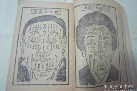 1976年出生的马人命运：探索命理与生活的奇妙联系