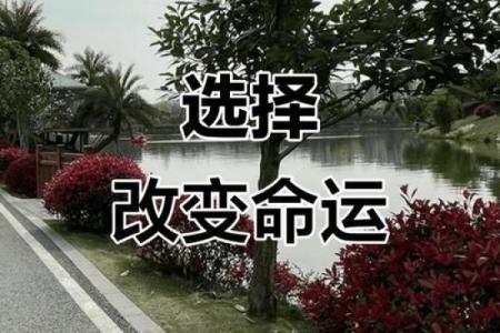 命儿：生活中的命运与选择的深层意义探讨