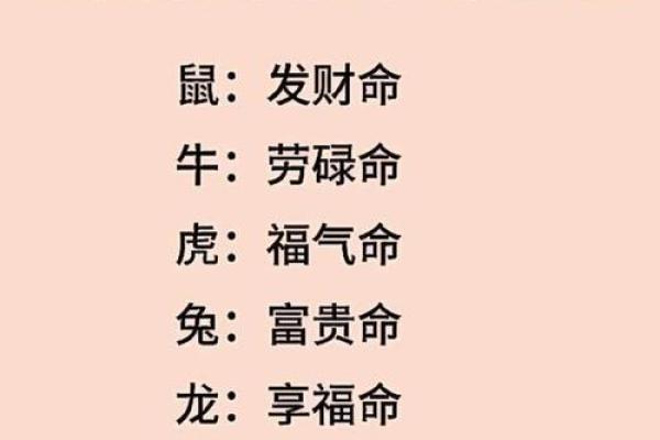 生肖与命运的秘密：属什么生肖就是什么命吗？