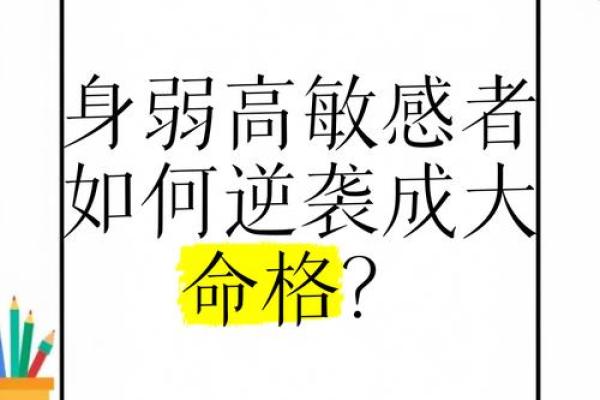 1986年11月出生的命运之旅：解读命格与人生