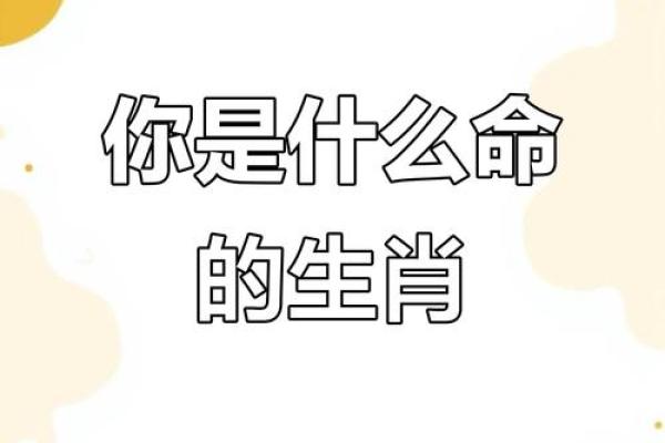 命格高的人，生肖动物代表的智慧与特质分析