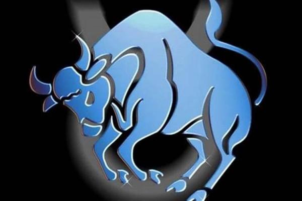 松柏木命与生肖的奇妙联系探究