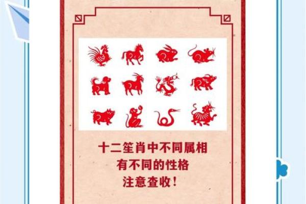 1993年鸡女命运探索：从性格到事业的全面解读