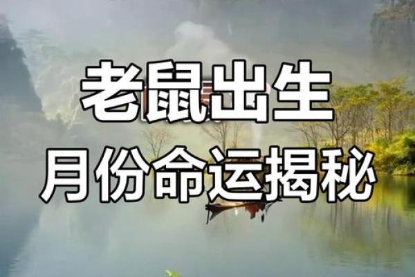 1974年鼠命的性格与命理分析，揭秘其人生财富与事业起伏！