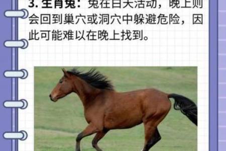 女生什么生肖是土命？生肖与命运的奇妙关联大揭秘！