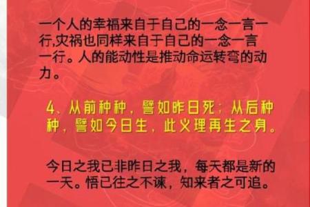 顺天应命与逆天改命：人生的选择与哲学思考