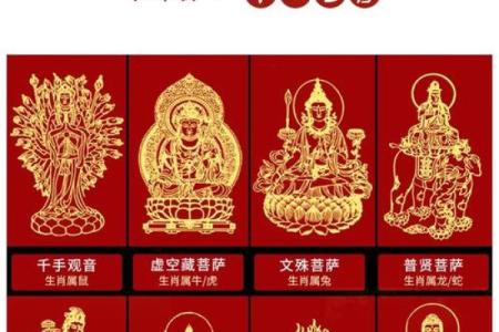 2023年：佛教中的兔年与命运的启示