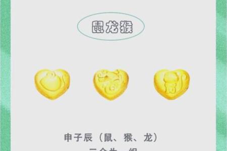 生肖与命运的秘密：属什么生肖就是什么命吗？