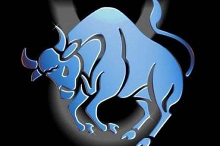 松柏木命与生肖的奇妙联系探究