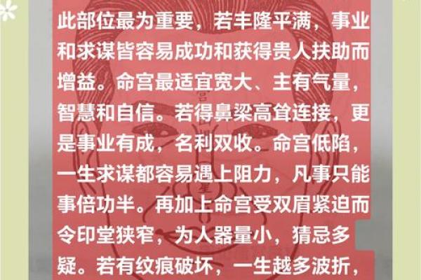 揭开官府命格的神秘面纱：探索命理八字的独特魅力