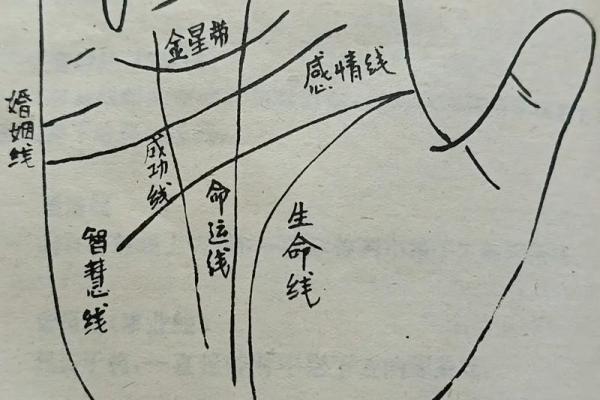 1993年农历正月出生的命运解析：寻觅人生的光芒与智慧