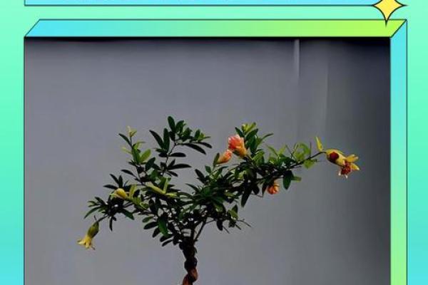 石榴木命指南：推荐适合的植物搭配与养护技巧