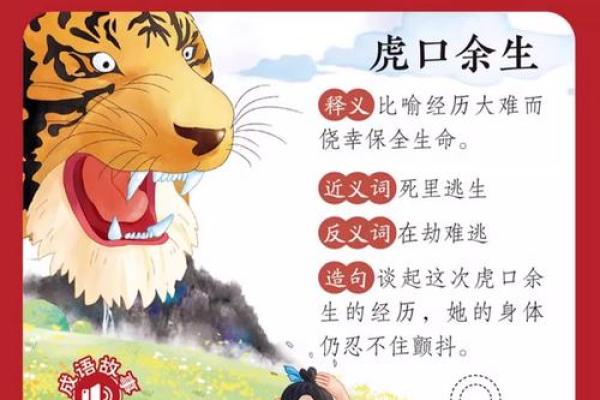 《成语接龙的智慧：命运的奇妙旅程》