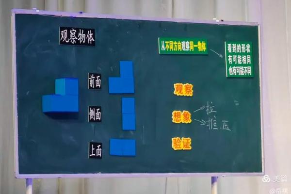 2021年小牛的命运解析：揭示我们应追寻的方向与决策
