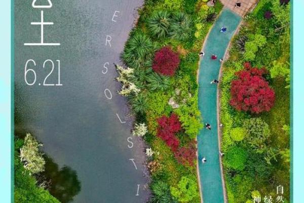 1977年夏至：奇迹般的命运与青春的启示