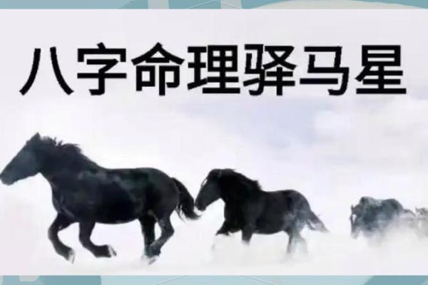 命带驿马：流动的命运与人生的转折点