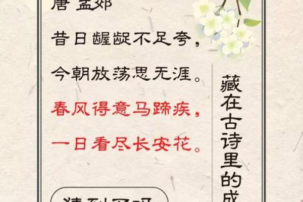 命运与责任：成语中的人生哲理探讨