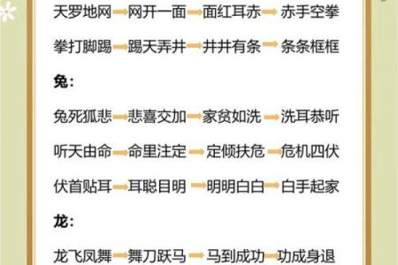 趣味十足的成语接龙游戏，与朋友同乐的最佳选择！