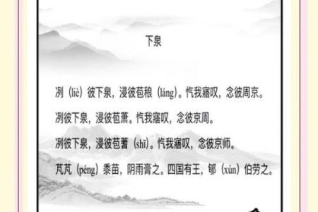 山下泉水命：细腻柔和的生活哲学