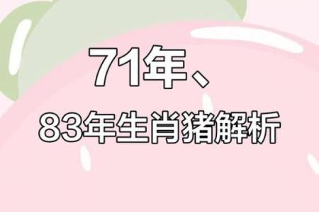 属猪人正月生日的命运解析：福气与机遇并存的一生