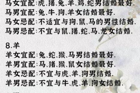 男人金命与哪些命的女人最相配，探寻爱情的完美契合