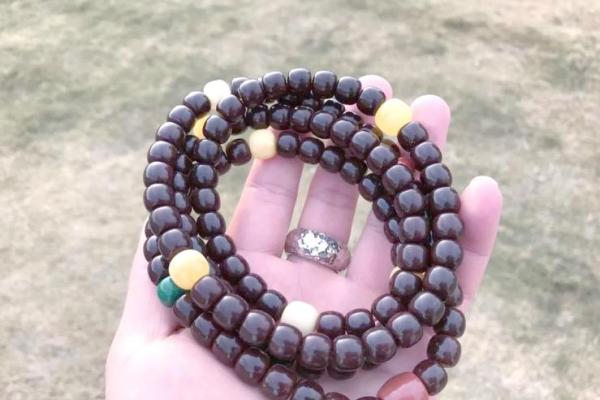 红皮紫金鼠的命运解析：从性格到运势的全方位揭秘