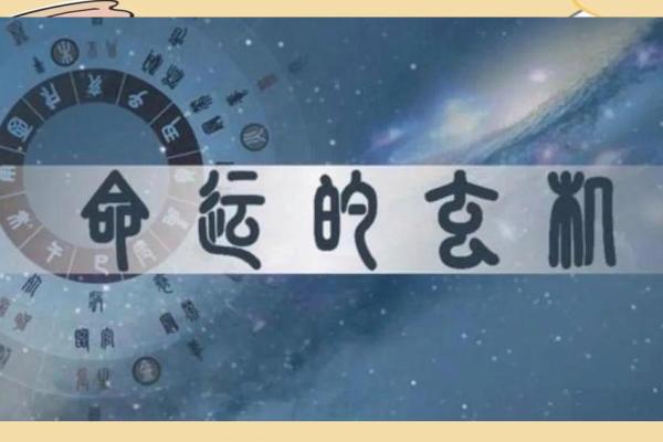 探索2017年农历属相命运与性格特征的奥秘