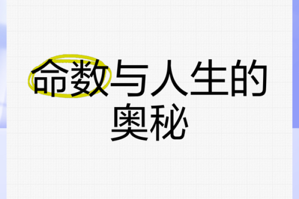 46属什么命 探秘数字背后的命理奥秘与人生轨迹