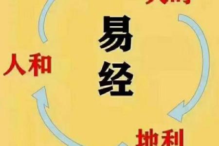 先天注定的人是什么命？探秘命运与个性之间的奇妙关系