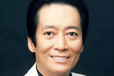 黄家驹的命理分析：揭示天干背后的秘密与命运启示