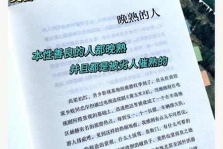 独处与灵魂的对话：偏爱孤独之人的命运之探讨
