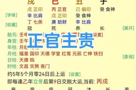 属什么几月生是什么命：探秘中国传统命理的奥秘