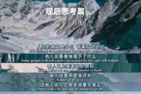 探寻2009年出生的命运：命理与人生的奇妙旅程
