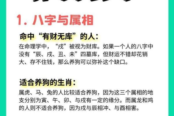 2019年命年解读：如何把握生肖狗的好运与机遇