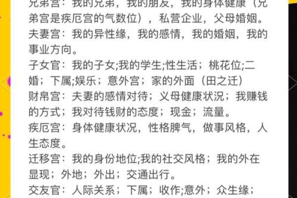 十二天宫命格解析：揭示你人生的命运密码