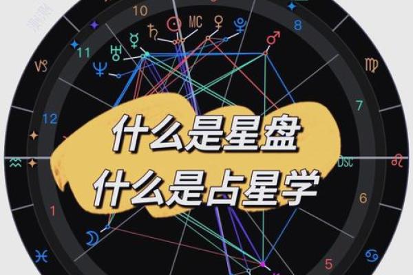 十二天宫命格解析：揭示你人生的命运密码