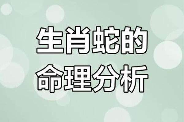 1953属蛇的命理解析：揭示你的性格与未来机遇之路