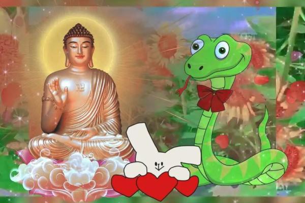 沙中土命与生肖文化的深度探寻