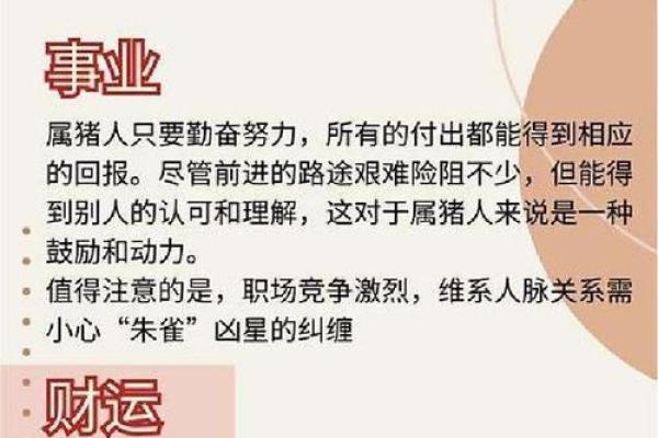 属猪人85岁运势解析：智慧与财富的双重收获