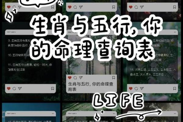 命理月份与生肖的奇妙关联——探索你出生月份的生肖密码