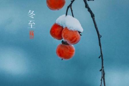 腊月迎春，古韵新韵交织，岁月轮回中的传统与现代