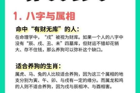 2019年命年解读：如何把握生肖狗的好运与机遇